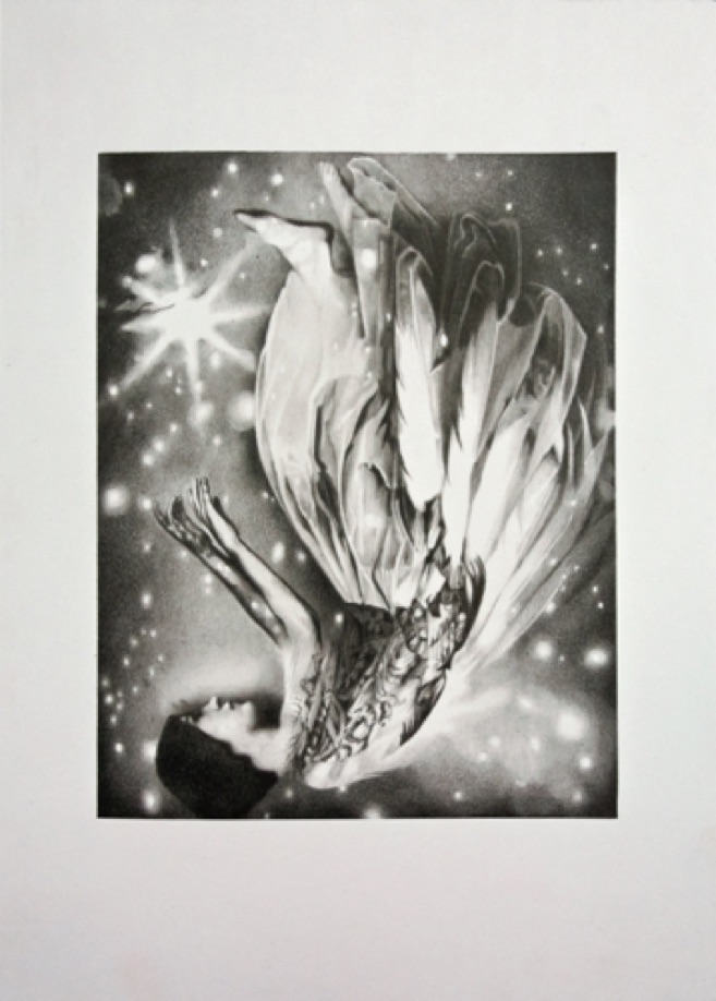 MOTH, 2016, pencil on board, 30x21cm MOTH, 2016, pencil on board, 30x21cm